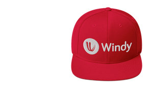 Windy Red Unisex Hoodie – Windy Online Store